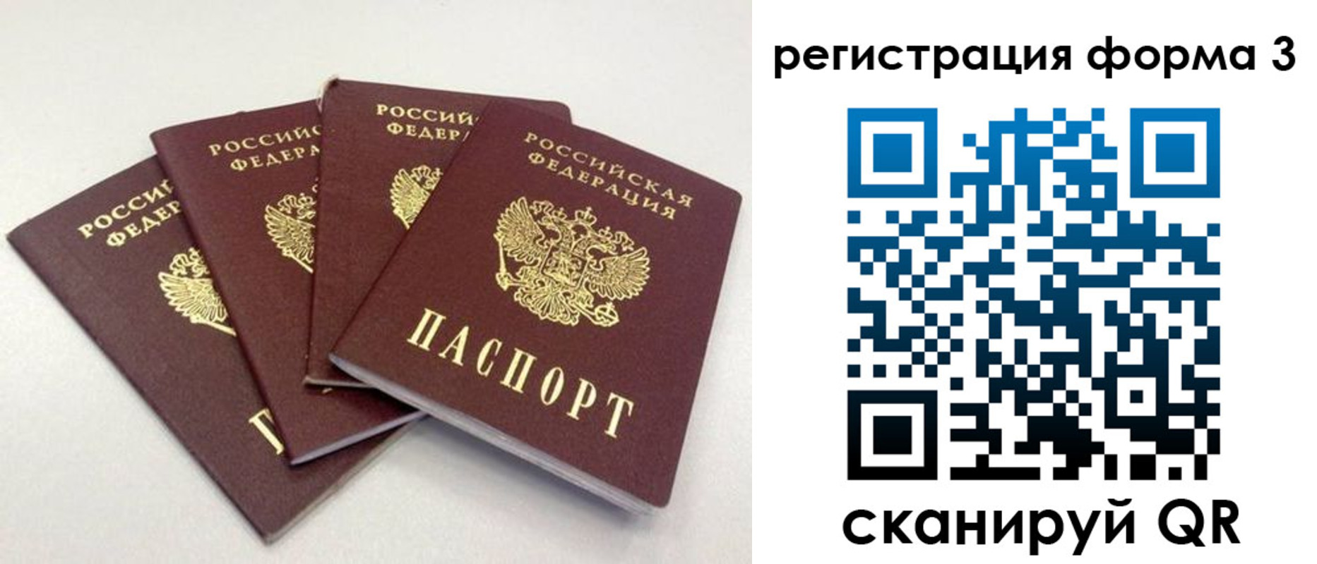 прописка 2025 в Коврове